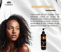 Shampooing restructurant